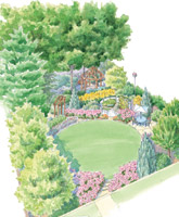 Bird-Friendly Back Yard illustration