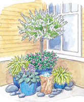 Creative Corner Plans illustration