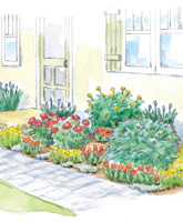 Pretty Peony Entry Garden illustration
