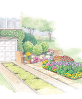 Beautiful Butterfly Border