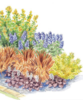 Fantastic Fall Gardens illustration