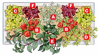 Window box plan