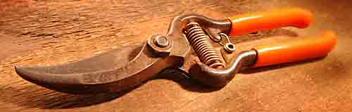 Maintaining Bypass Pruners Maintaining Bypass Pruners