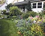 Friendly Front Yard Garden
