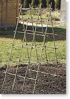 Building a Bamboo Trellis