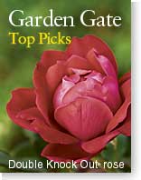 Garden Gate's Top Picks