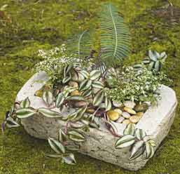 Hypertufa trough
